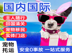 花果山机场物流国际宠物托运 【国